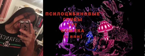 PSILOCYBIN Алексеевка