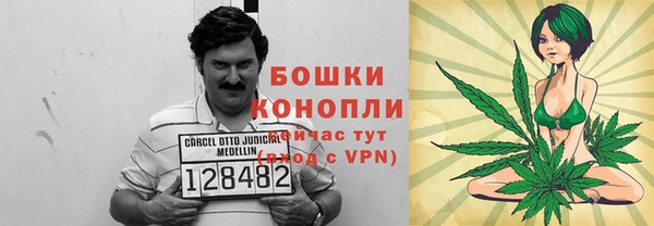 PSILOCYBIN Алексеевка