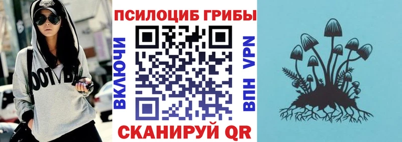 Псилоцибиновые грибы мухоморы  Сураж 