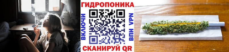 Марихуана SATIVA & INDICA  купить закладку  Сураж 